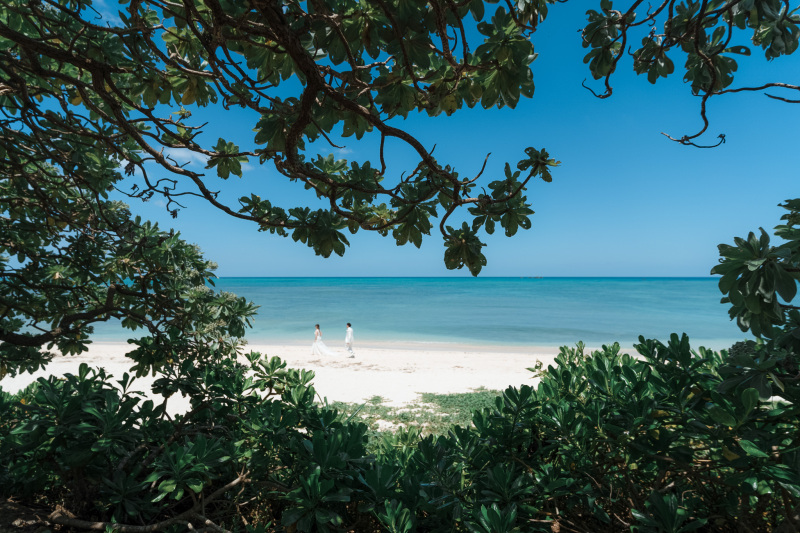 全プラン雨天保証付き。安心して当日をお迎えください