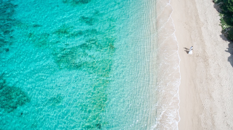 OCEANS OKINAWA_ペットと一緒に撮影できる