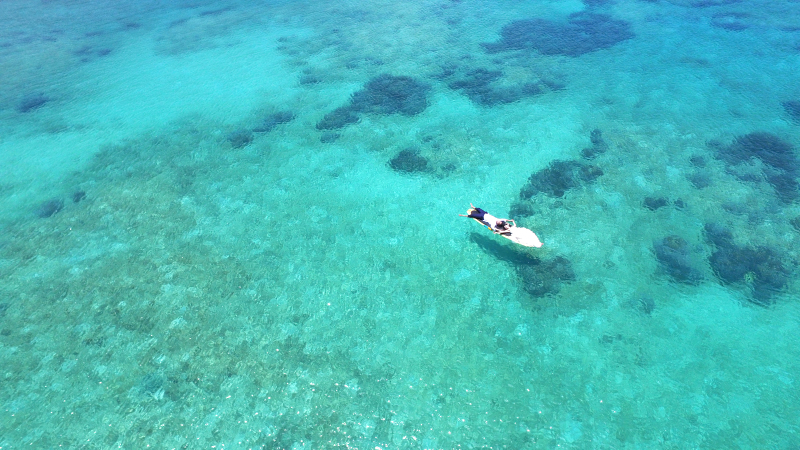 透き通った海・・・