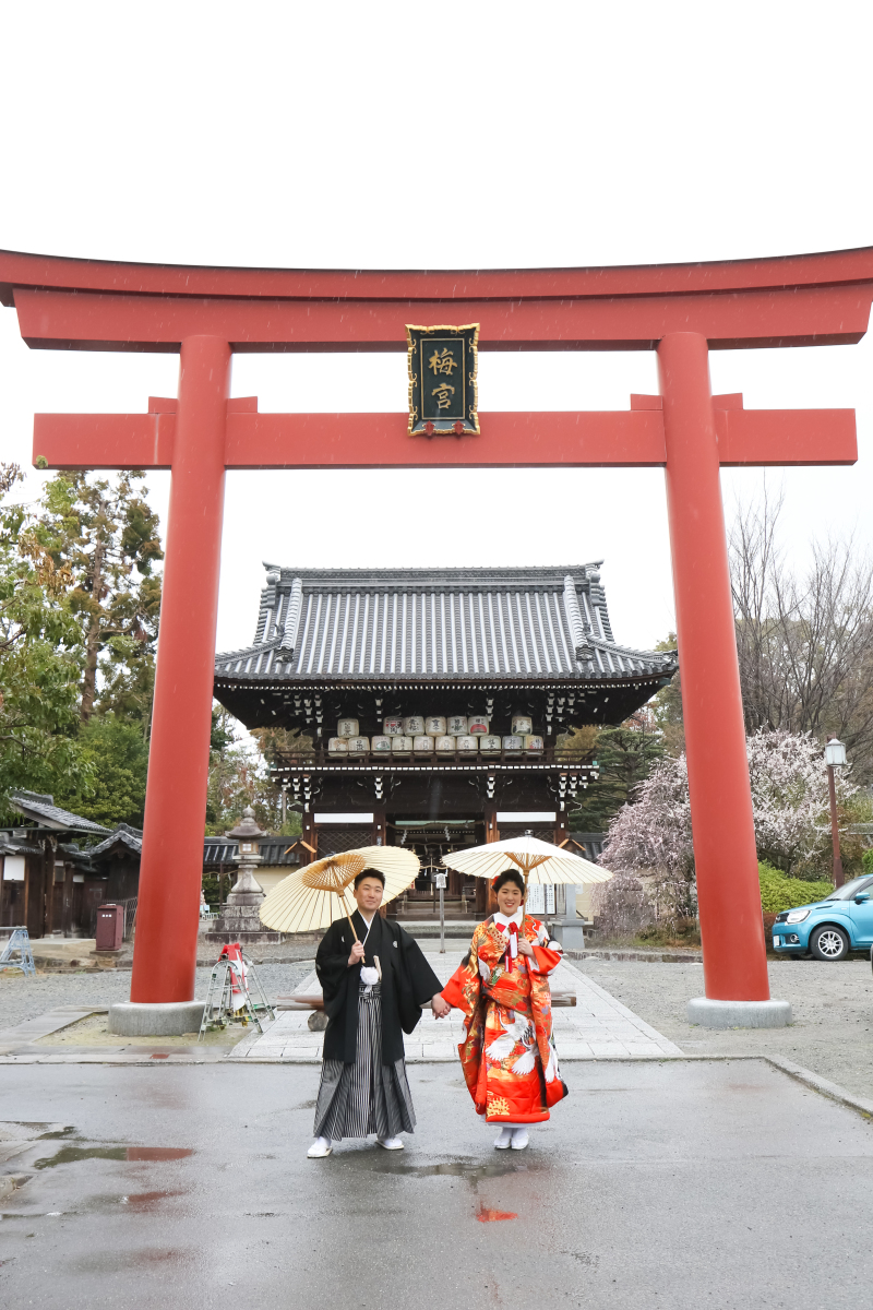 素敵な梅ワールド!