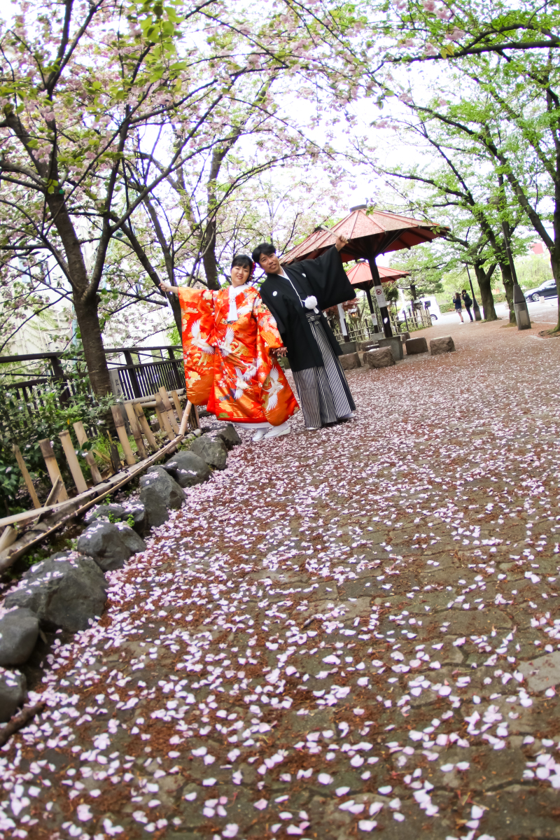 桜の絨毯、葉桜も素敵!