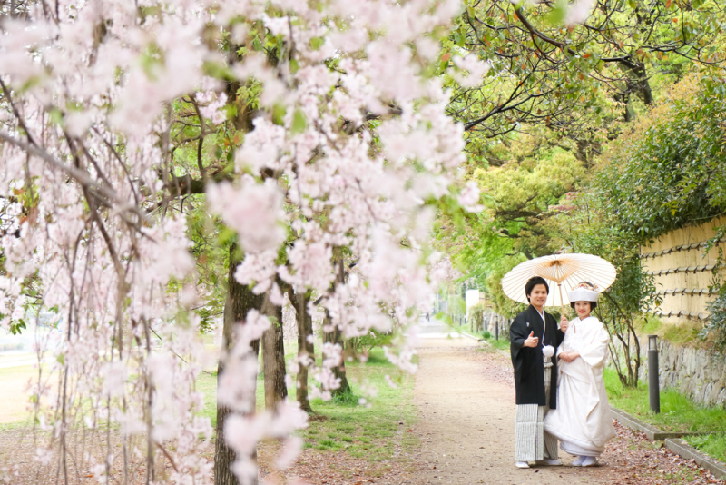 小雨と和傘はよく似合う
