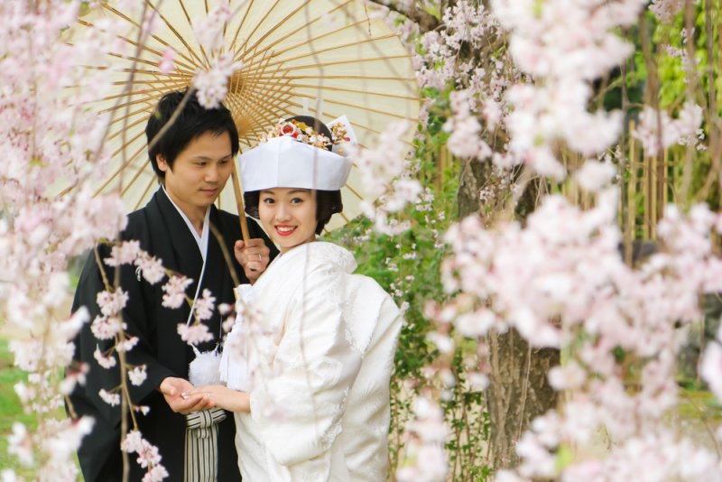 それとサクラと！