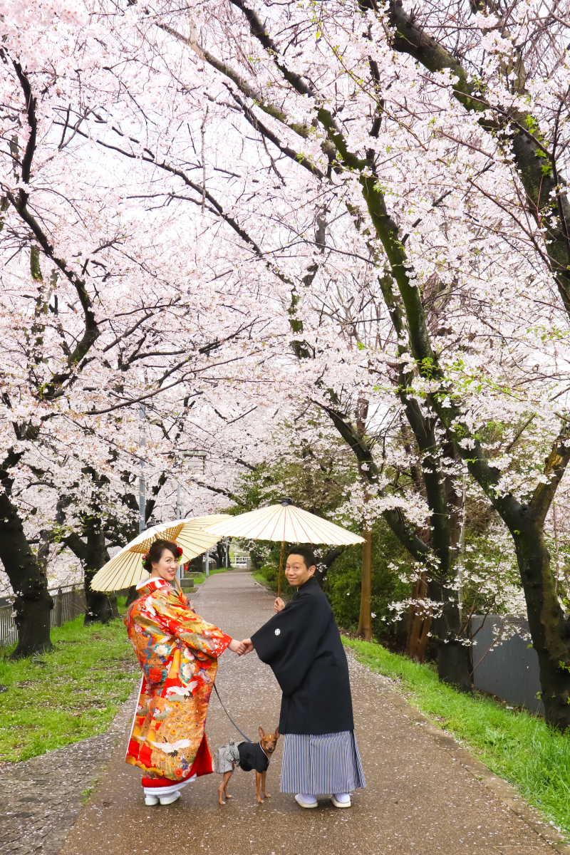 ペットと一緒に桜ロケーション！