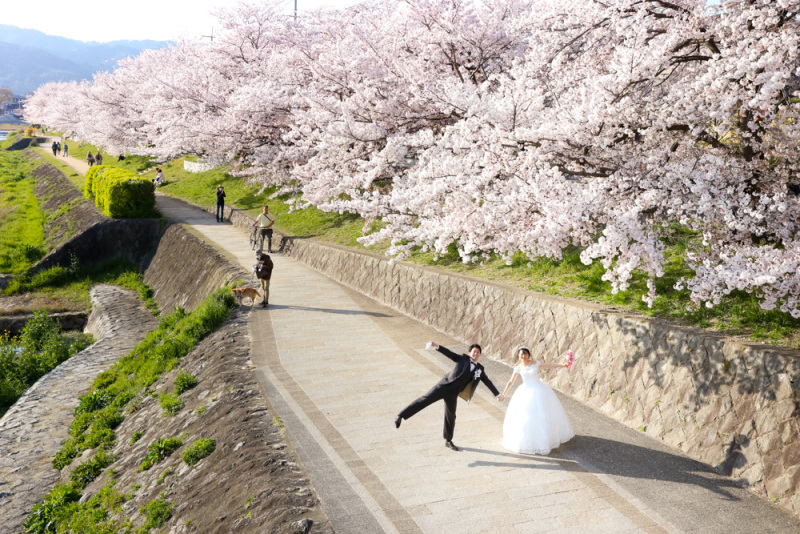 桜の楽しい1日プラン!