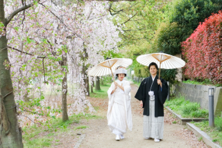 小雨の中のサクラロケ
