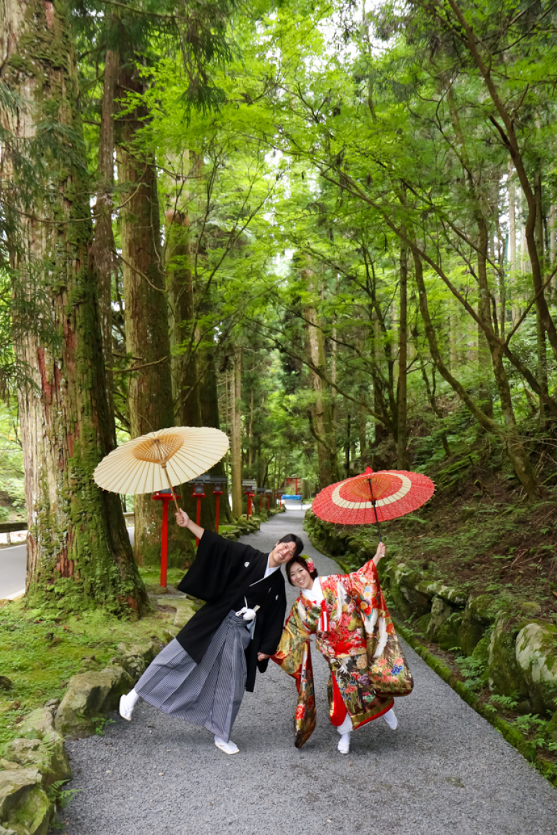 新緑も素敵です