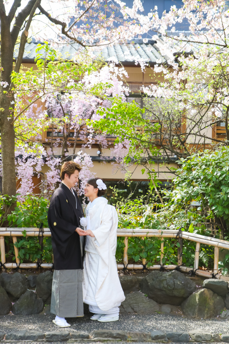 桜ロケーション撮影