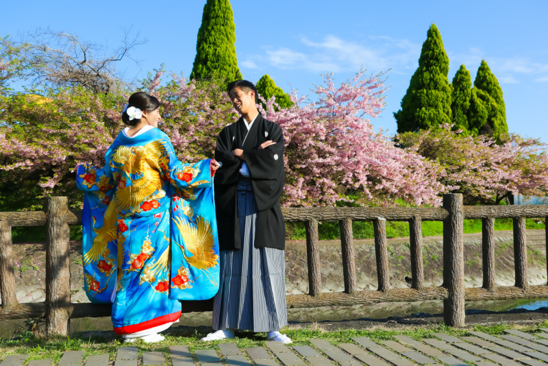 青の打掛が素敵すぎる！