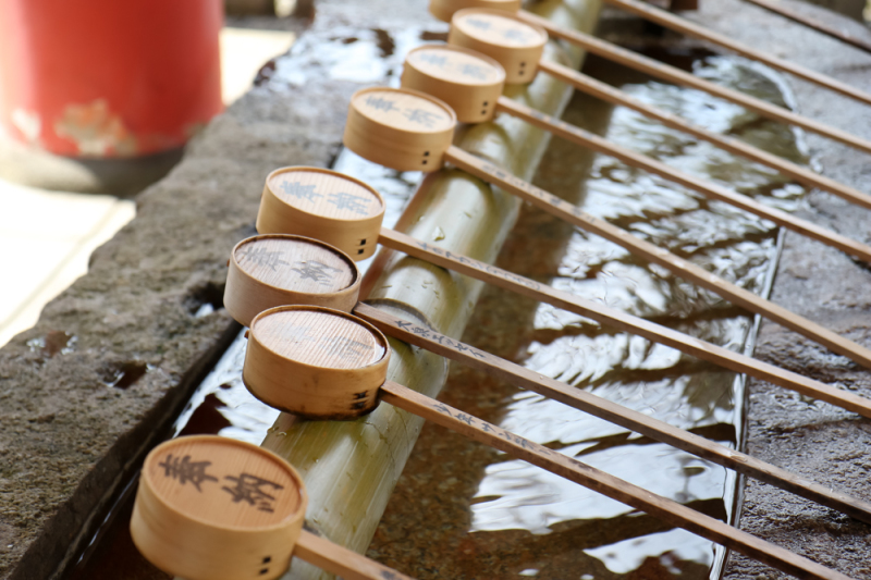 神社さんを楽しむ