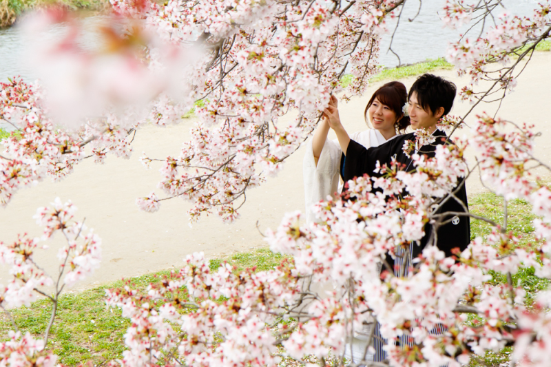 素敵なさくらの中で！