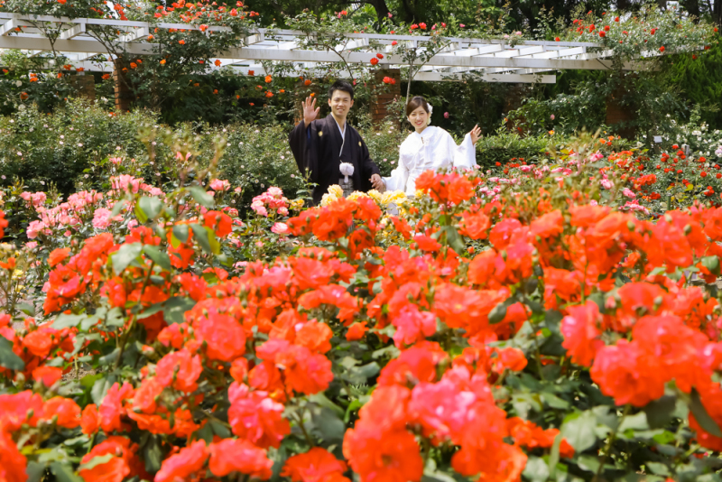 楽しいバージョンも