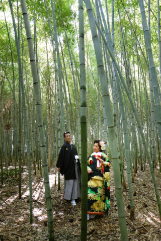 京都で竹林づくし