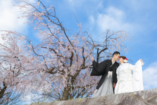 満開の桜の下で