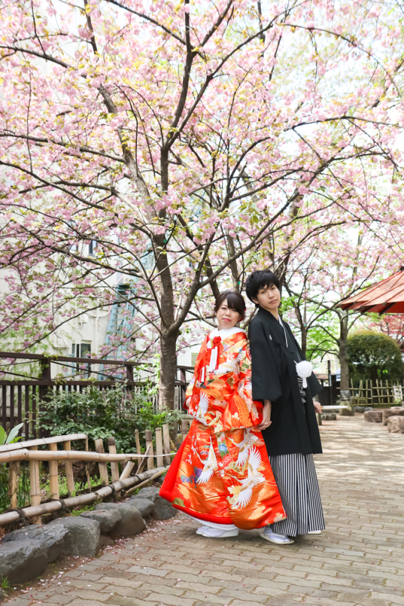 楽しい桜ロケーション