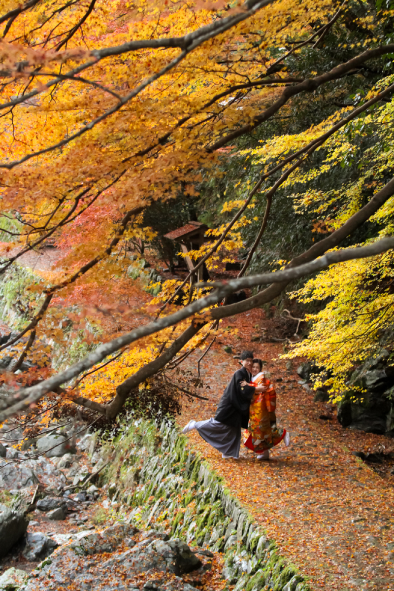 ちょっと遠くから