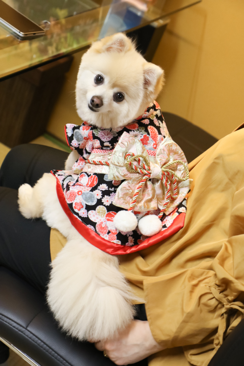 ペットのワンちゃんも待ってます〜