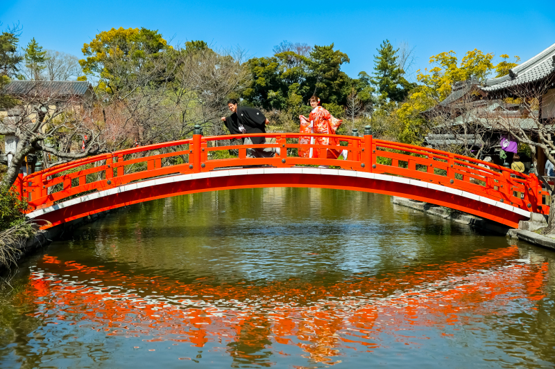 急いで次には神泉苑の紅い橋！