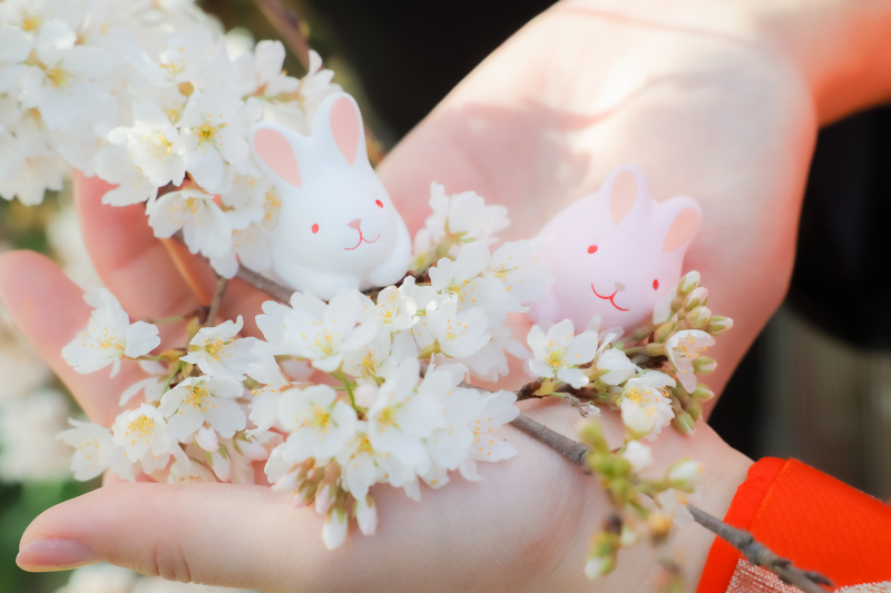 これぞ、スマイルハンターの１日プラン！