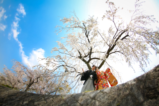 桜＆京都は最高！