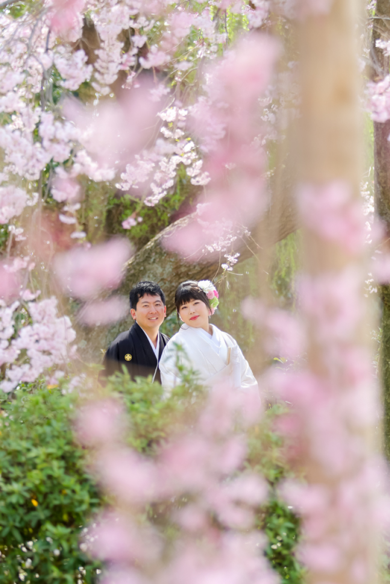 隙間ショットも！