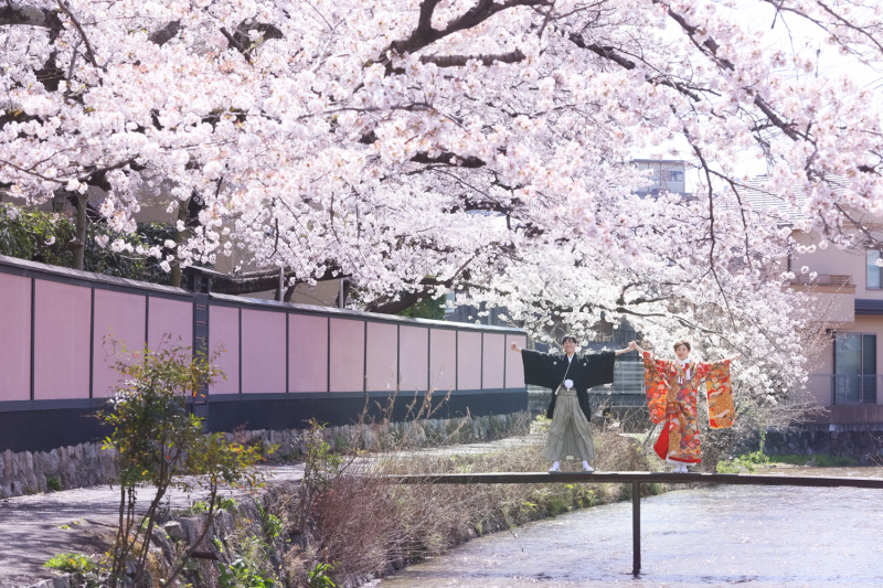 桜と京都観光の一日プラン