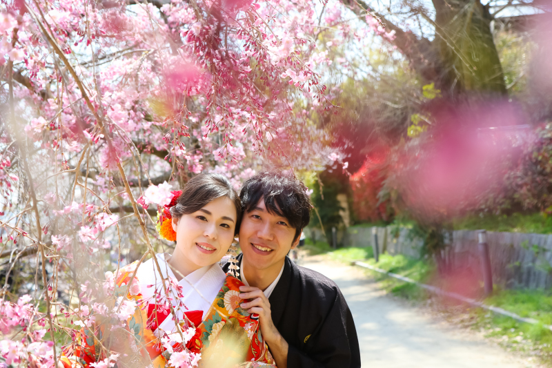 またまたinさくら