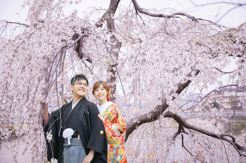 香港からの素敵なお客様が桜の京都１日プランを堪能！