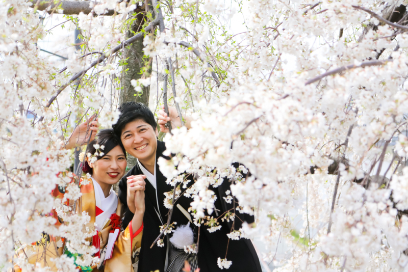 まずは、鴨川の桜！