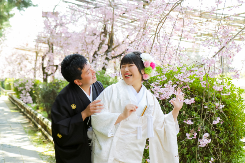 桜ロケーション撮影