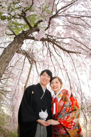 サクラサクラサクラ尽くし