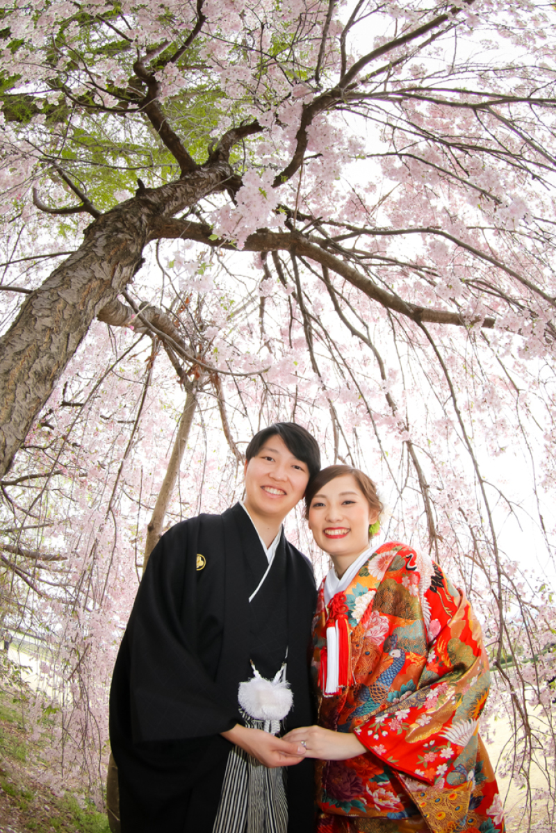 サクラサクラサクラ尽くし