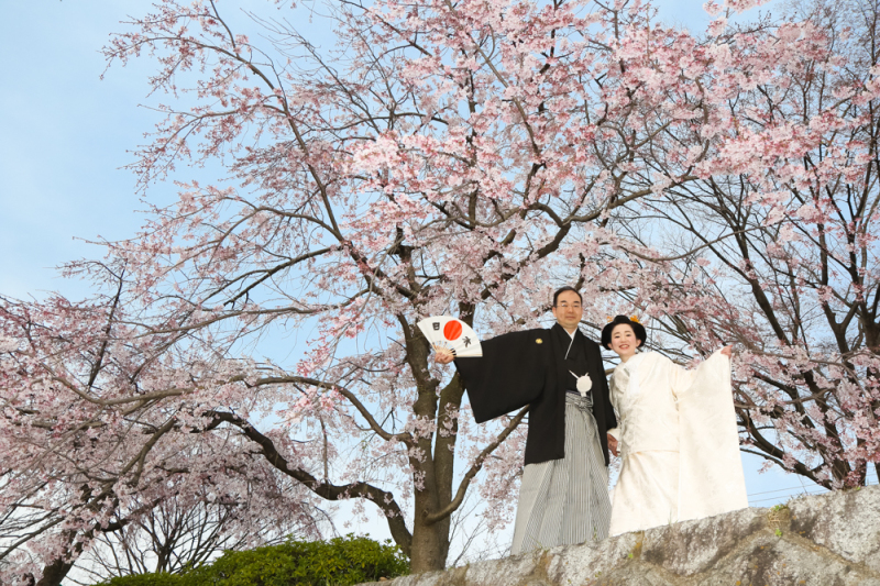 別の場所でもさくら尽くし！