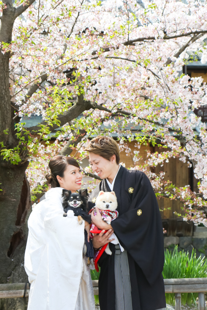 ワンちゃんも一緒