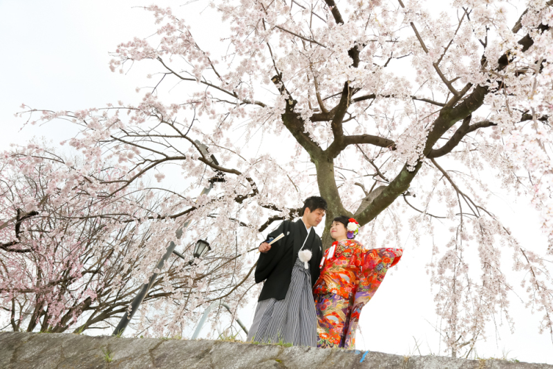 満開の桜の下で