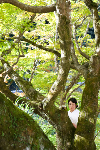 緑の素敵な世界