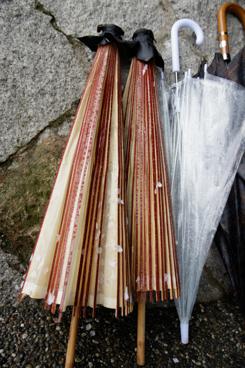 素敵な和傘です