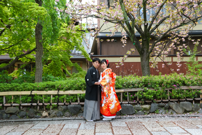 新緑と桜の共演!