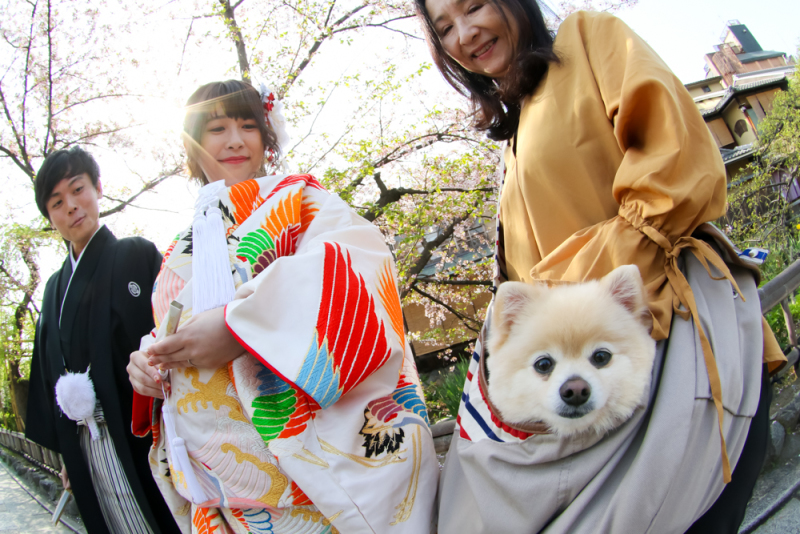 応援団のペットのワンちゃんも（笑）