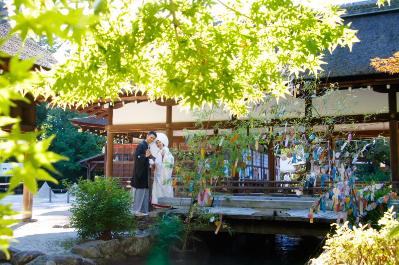 オオトリの写真!