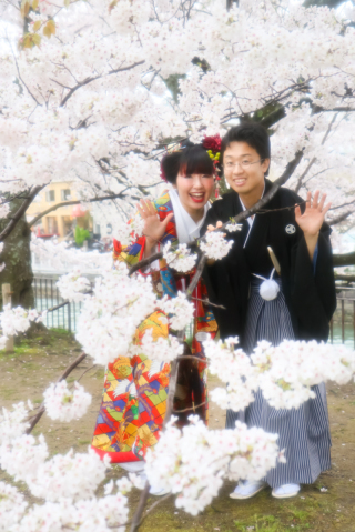 思い出の地と桜