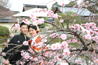 素敵な梅ワールド！