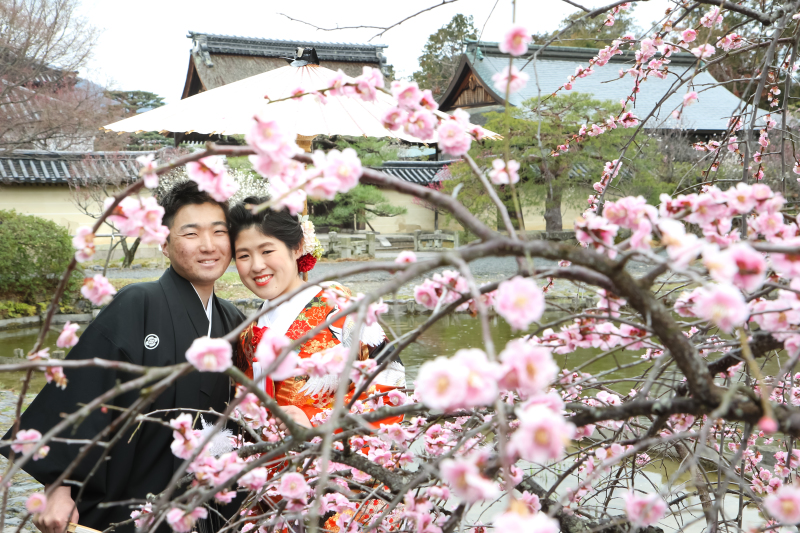 素敵な梅ワールド!