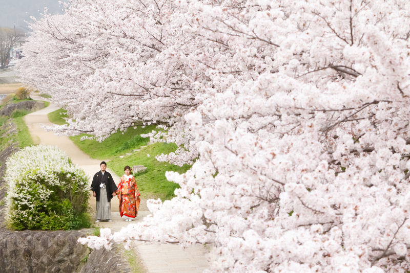 スマイルハンター