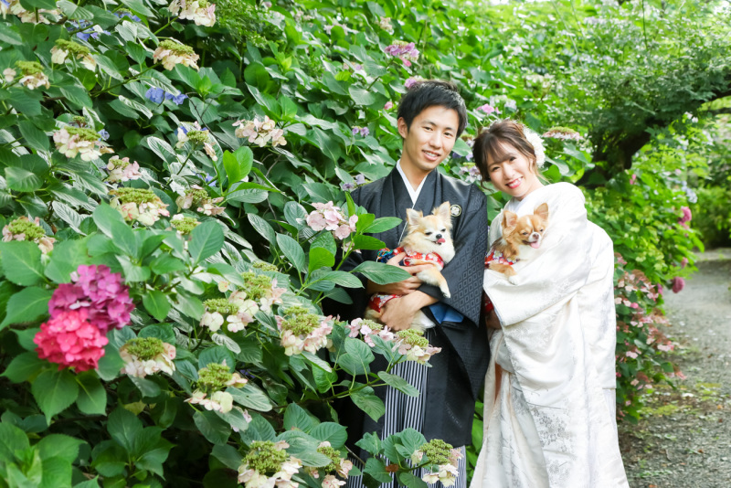 スマイルハンター 京都店_ペットと一緒に撮影できる