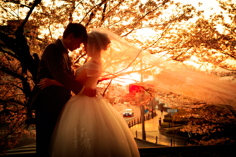 光と影に包まれた、ドラマチックな一枚