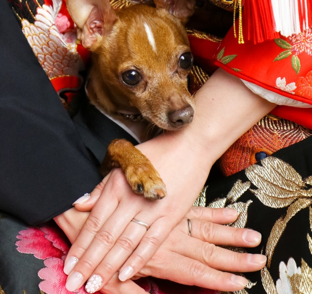 スマイルハンター 京都店_ペットと一緒に撮影できる