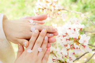 スマイルハンター_京都&times;ロケーション（桜）②