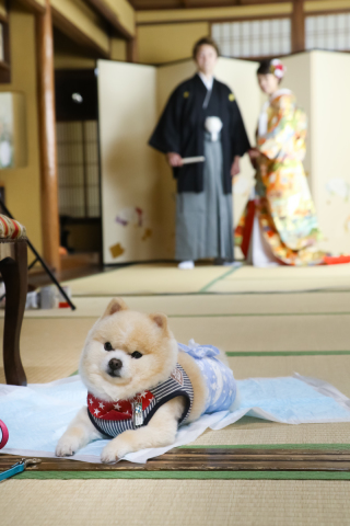 スマイルハンター 京都店_ペットちゃんと一緒