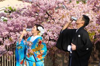 スマイルハンター_京都&times;ロケーション（桜）①